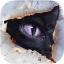 leyuapp