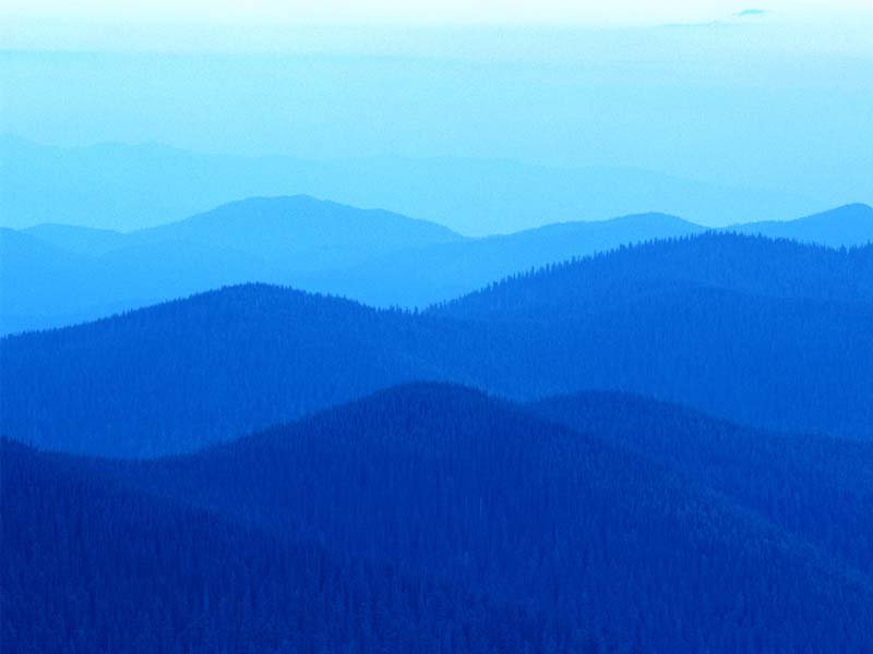 金沙js06ask
