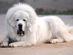 亚洲必赢