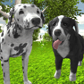 aoa平台