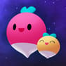 开·云app