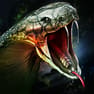 aifa体育网址