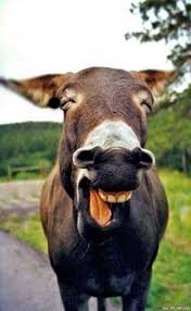金年会平台入口