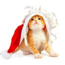 od体育手机登录