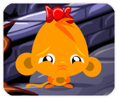 金狮会员登录