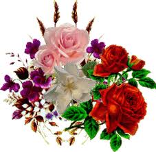 明博体育在线入口