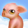 金宝搏188