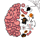 立博体育app入口