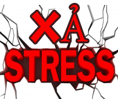 十博首页