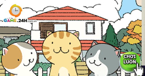 m6官网app